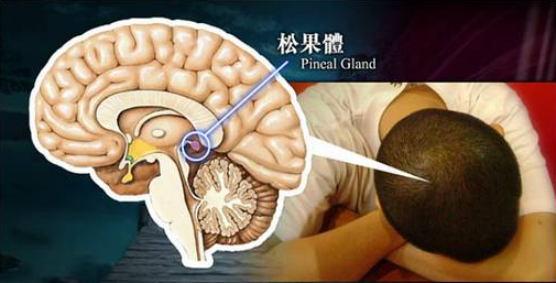 QQ截图20161214160147