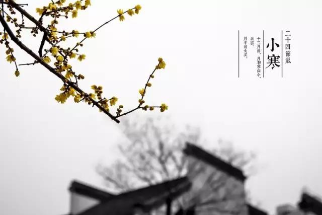 郑州市卫生学校