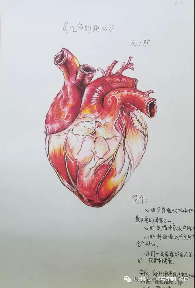 微信图片_20190506094741