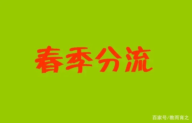 8.webp