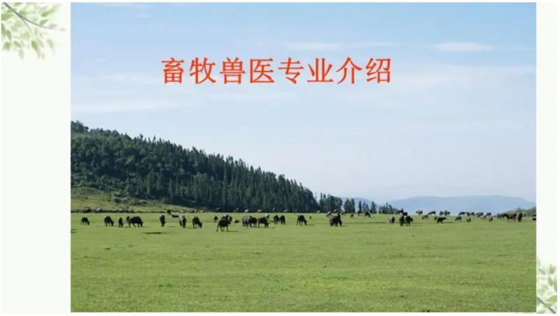 微信图片_20241106115111