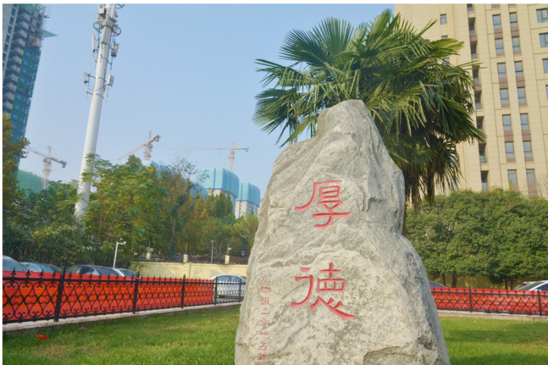 微信图片_20241108091921