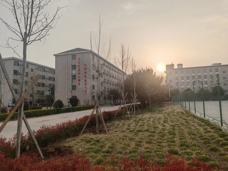 微信图片_20250612153931