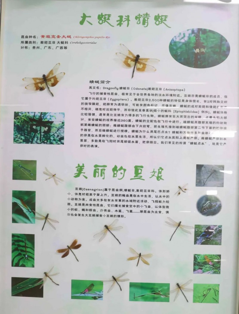 微信图片_20250718101550