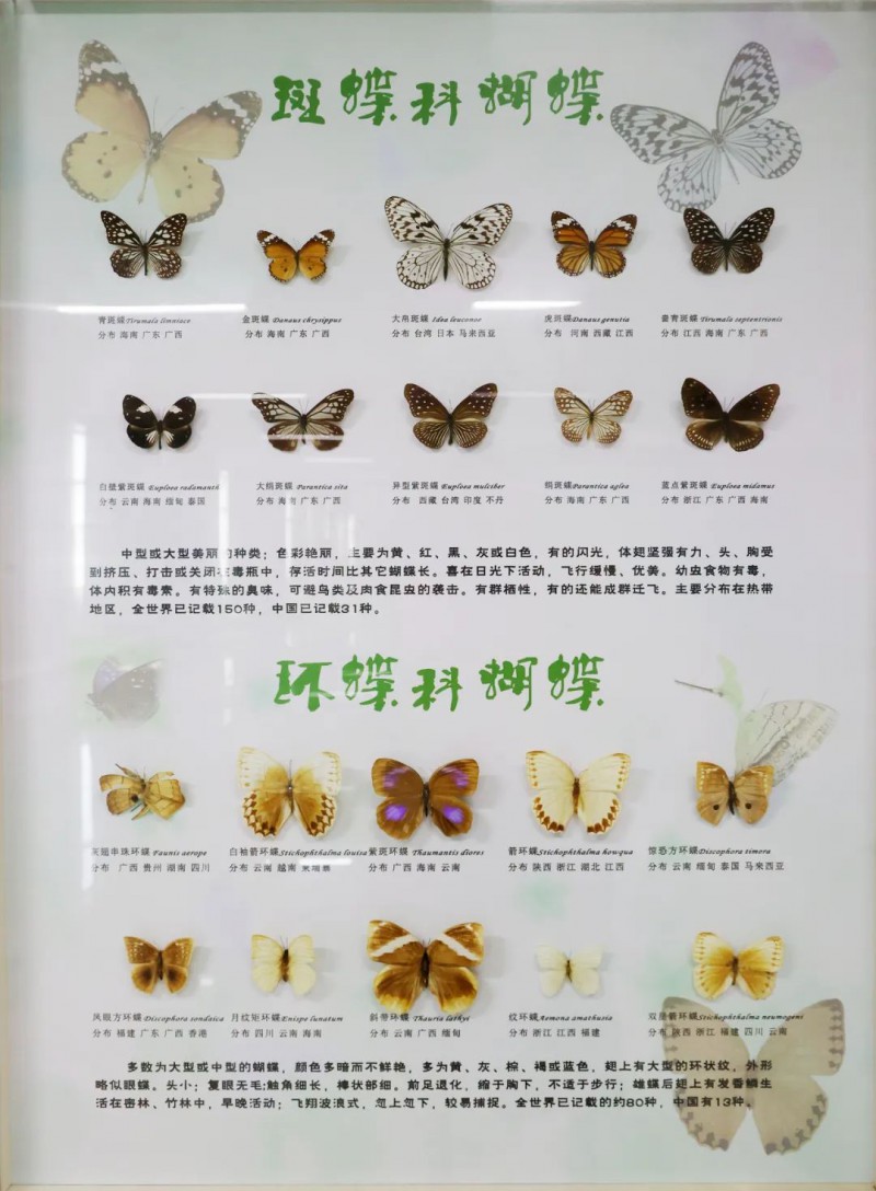 微信图片_20250718101553