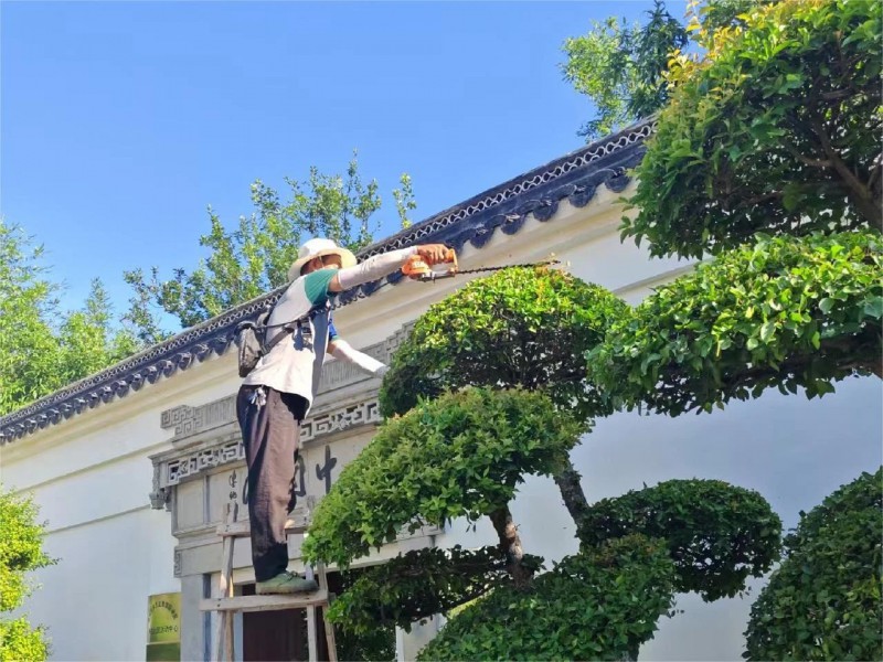微信图片_20250802111813