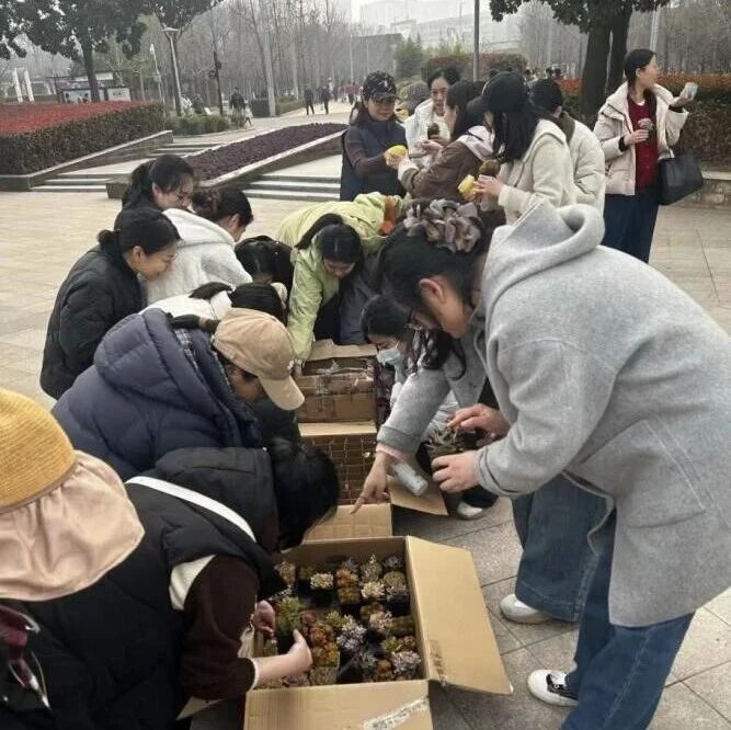 微信图片_2026-03-16_222451_987