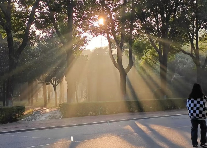 Screenshot_2026-03-17-16-51-34-01_a2db1b9502c98f25523e43284b79cce6