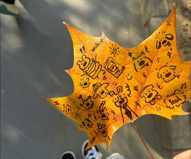 Screenshot_2026-03-17-16-50-55-00_a2db1b9502c98f25523e43284b79cce6