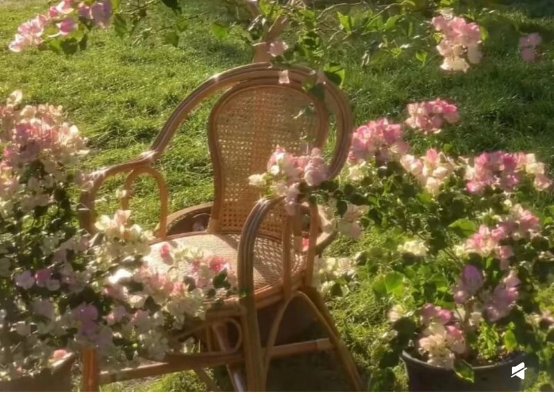 Screenshot_2026-04-23-22-37-39-11_a2db1b9502c98f25523e43284b79cce6