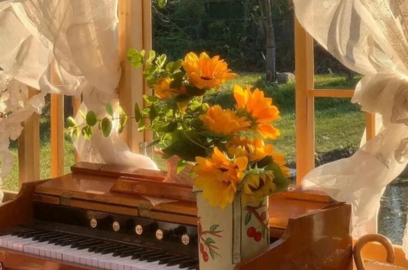 Screenshot_2026-04-23-22-37-26-56_a2db1b9502c98f25523e43284b79cce6