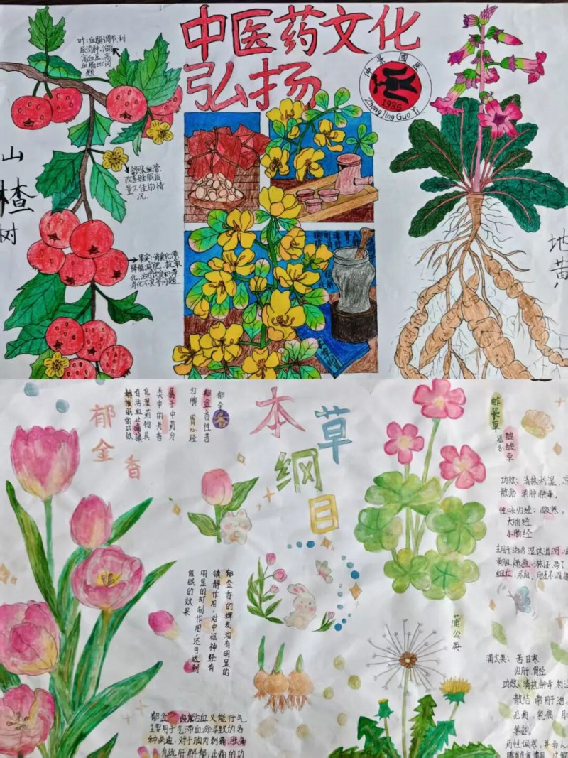 微信图片_2026-05-05_214821_237